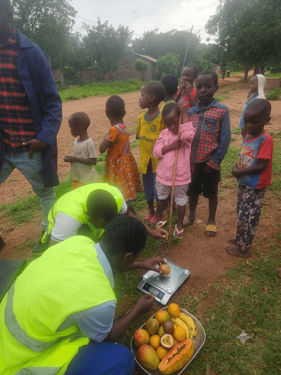 A UPSDE technician demonstrating fruit weighing on a scale as community children look on